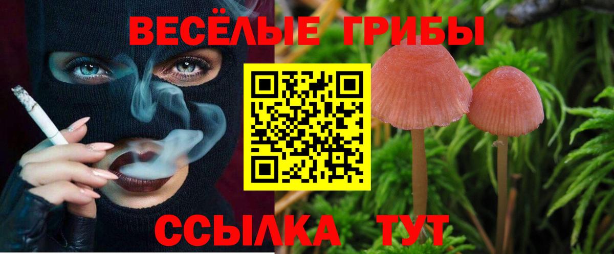 закладки  Вход с VPN  Краснокаменск  Галлюциногенные грибы Magic Shrooms 